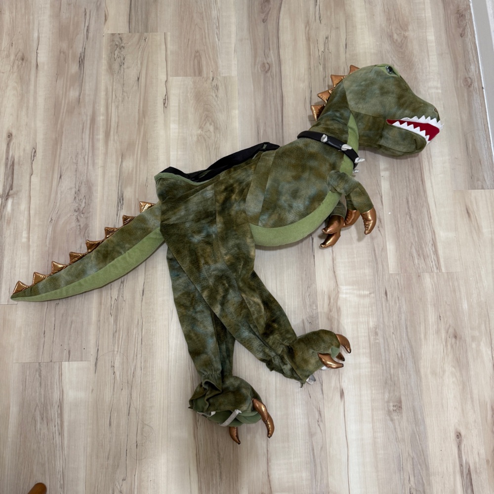 Halloween Kids Dinosaur Costume - Green and Brown